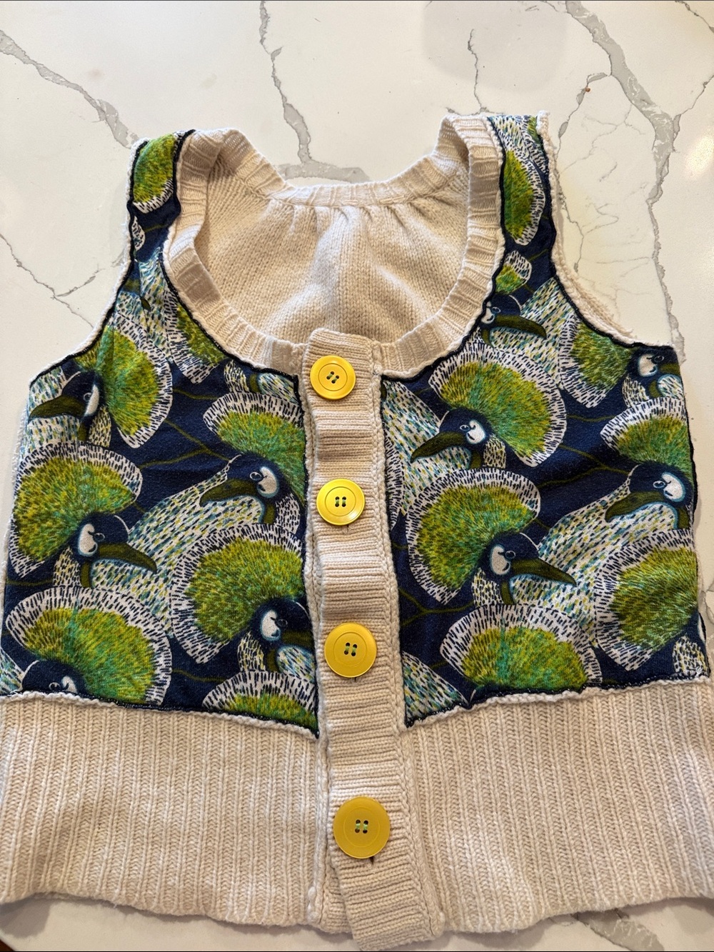 Anthropologie Moth peacock Knit Vest reversible (altered sleeves)